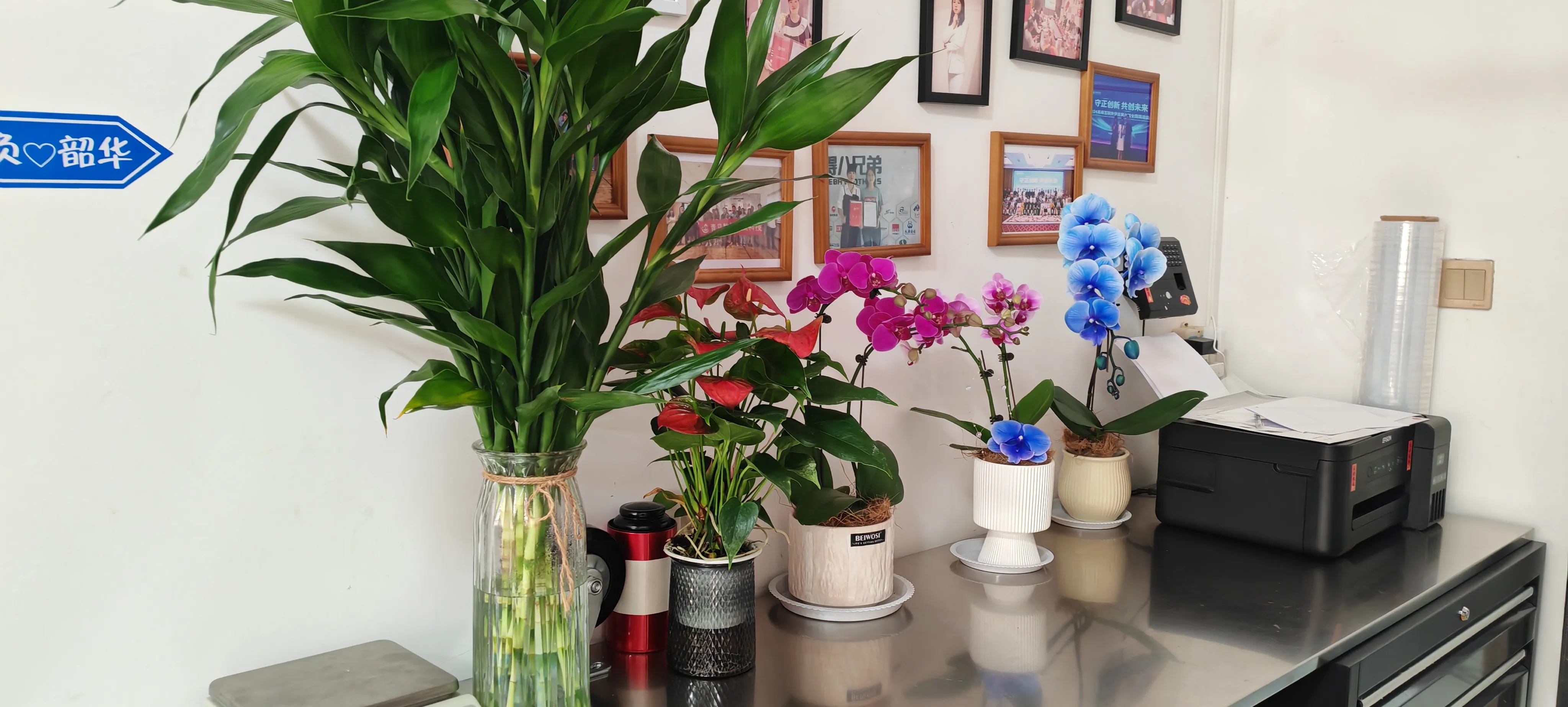 Velkommen til JOJO Packs nye venner!