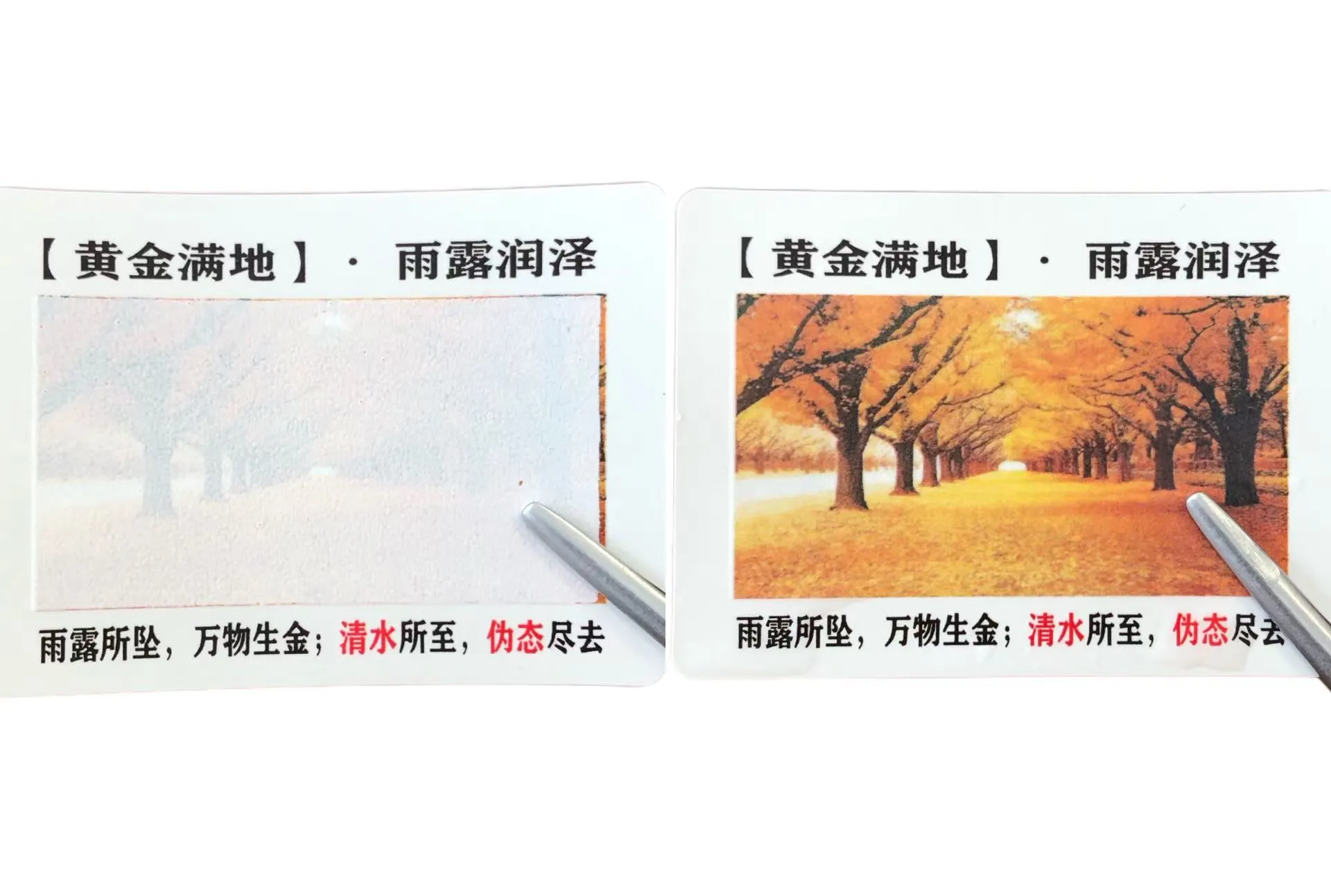 Kender du farveskiftende vandfølsomme etiketter?