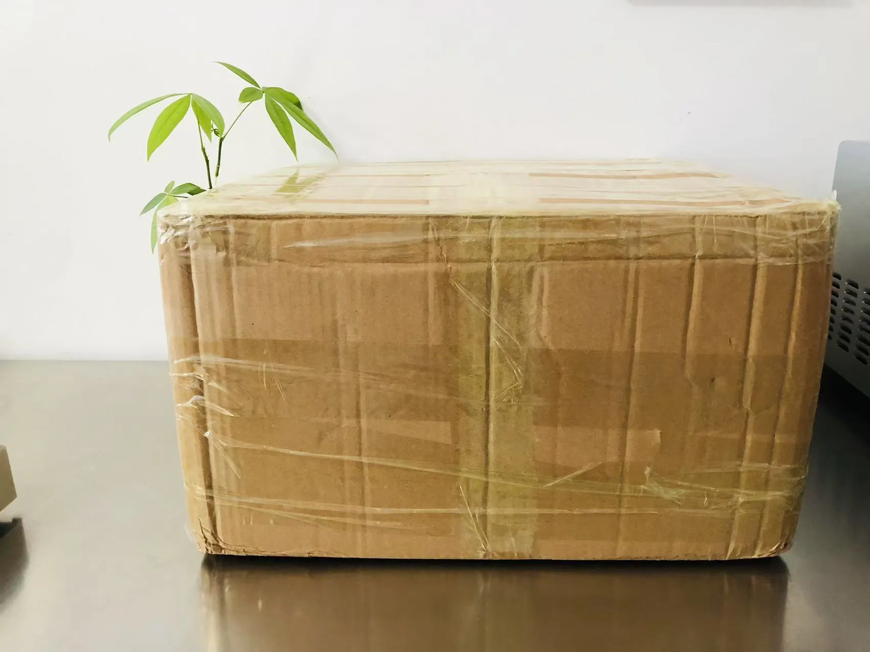 Cartoon Solid Epoxy Stickers Nu på vej til Japan